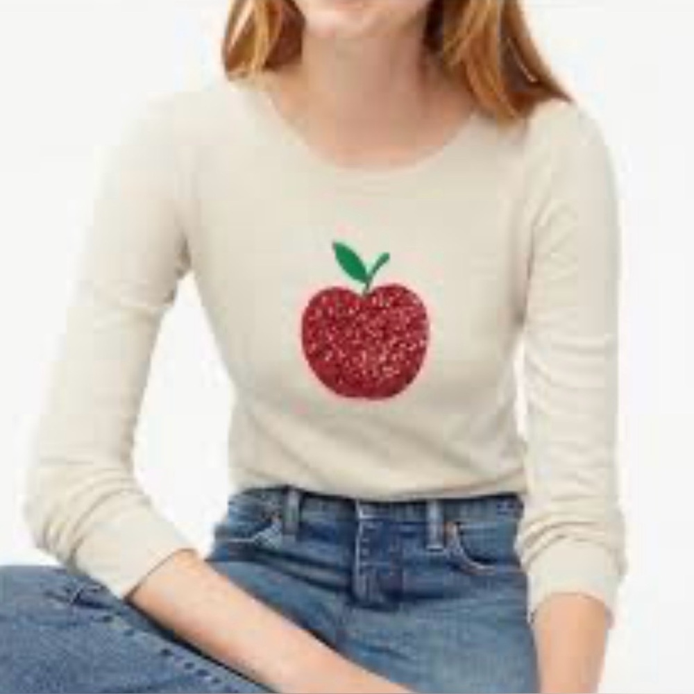 J.Crew Apple Beige Crew Neck TEDDIE Sweater 100% Cotton Size M - Picture 2 of 4